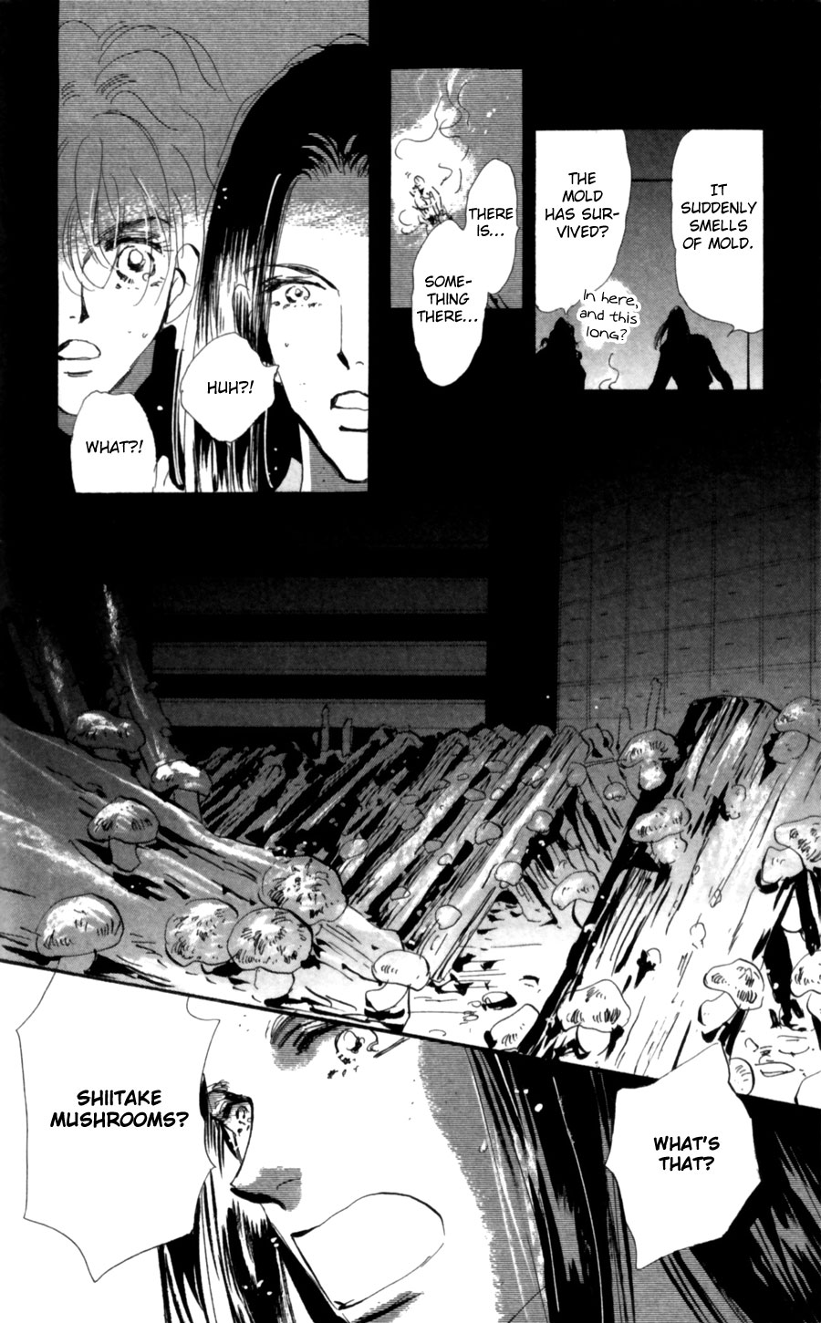 Read 7 Seeds EN Manga Online