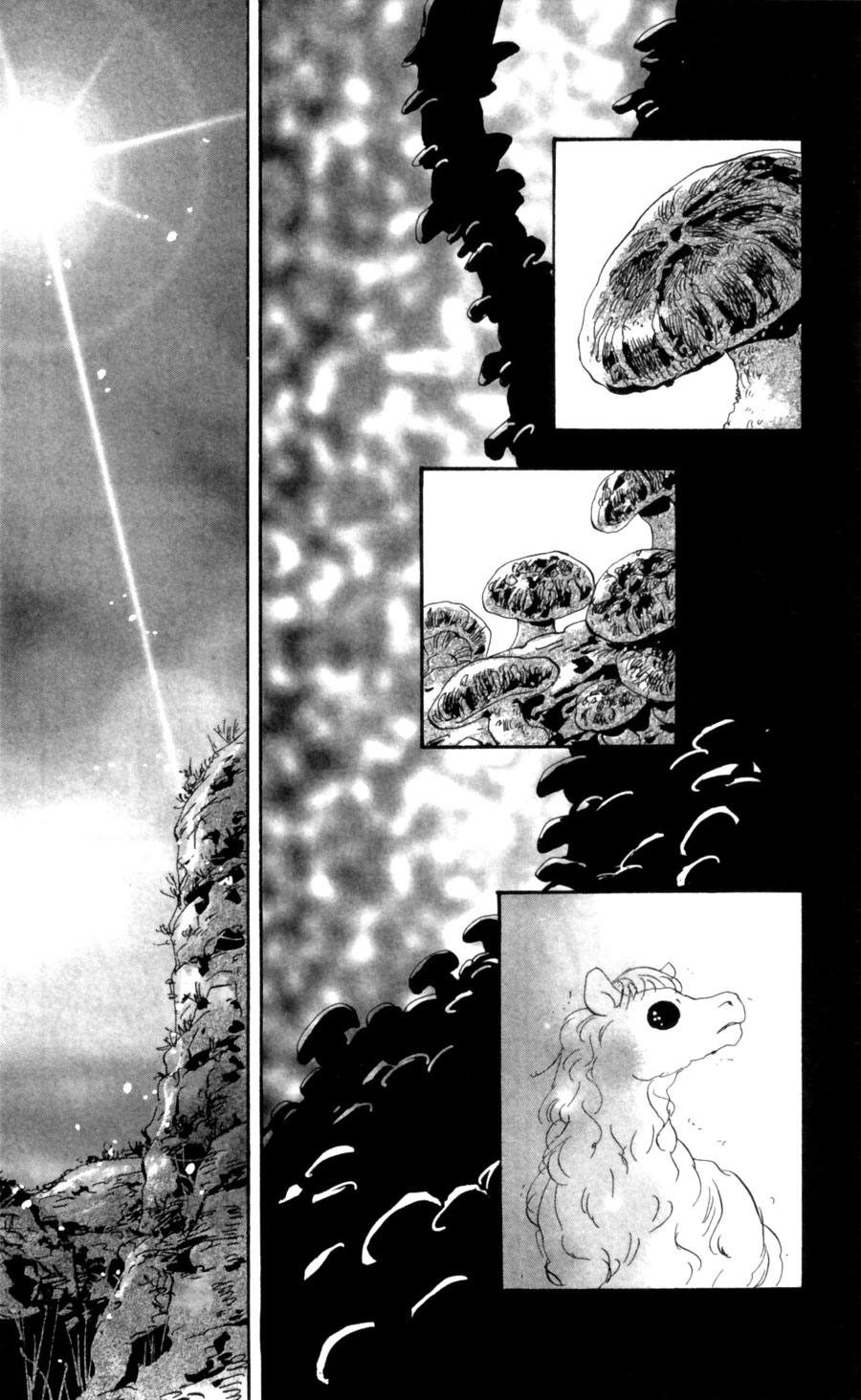 Read 7 Seeds EN Manga Online