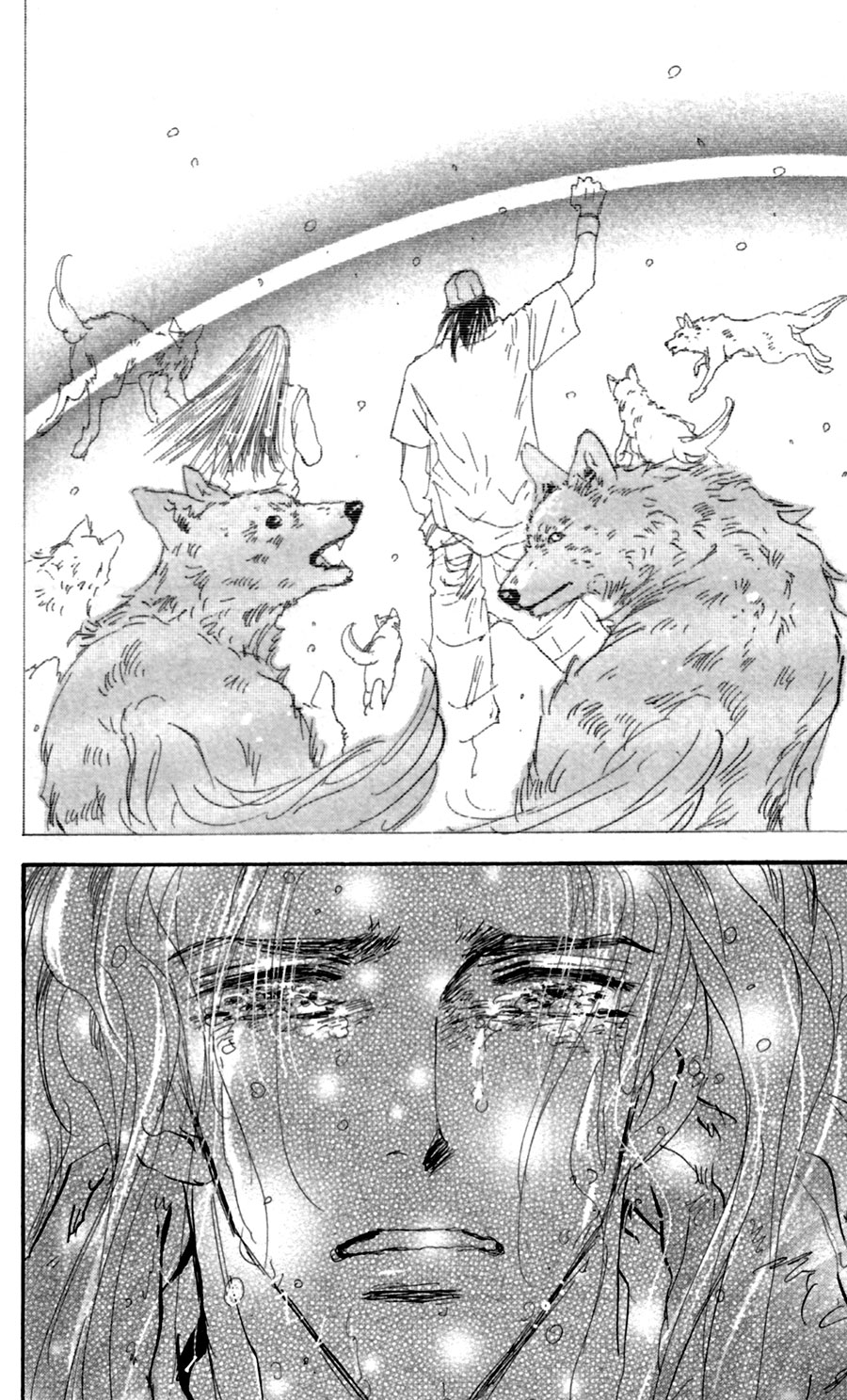 Read 7 Seeds EN Manga Online