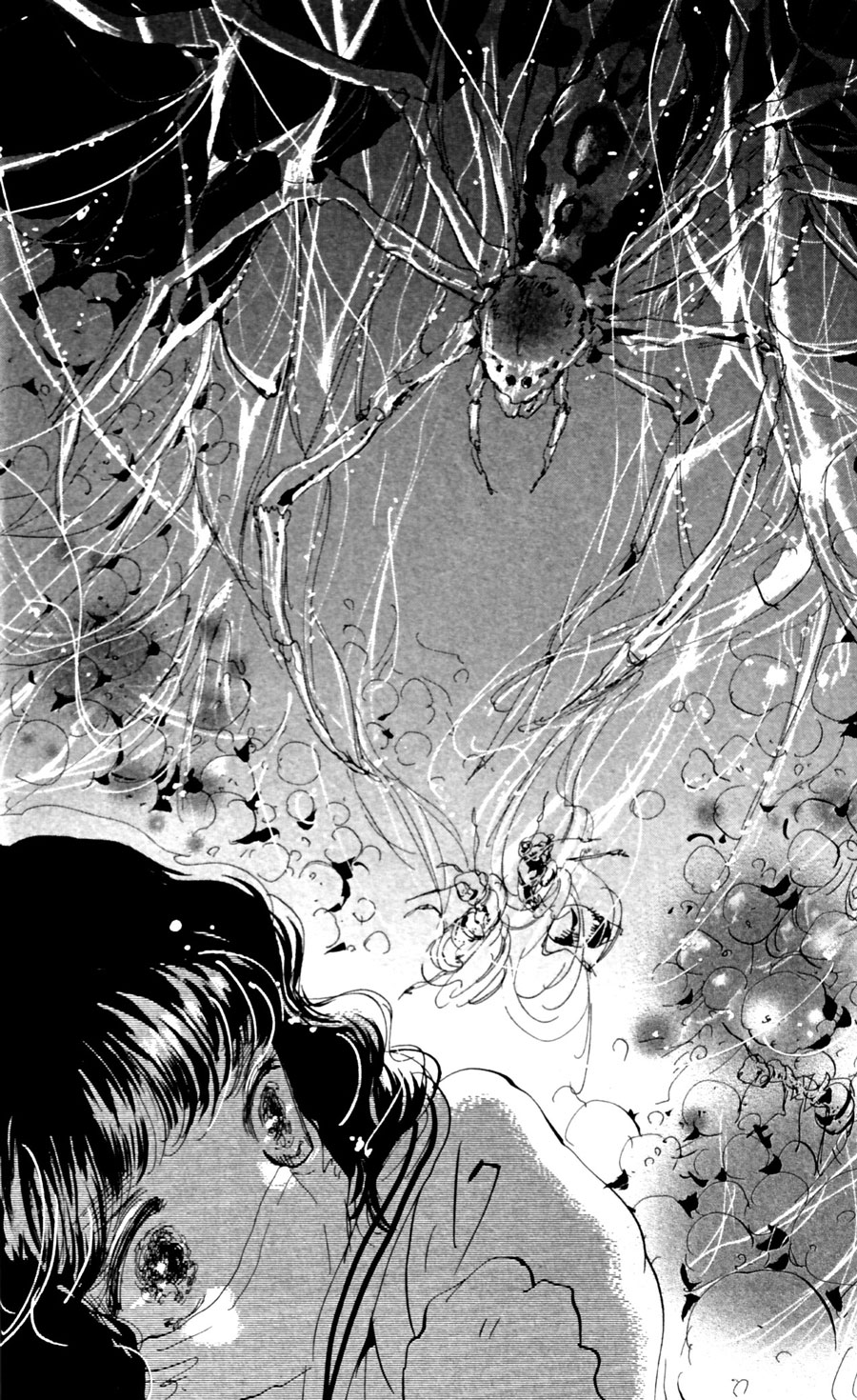 Read 7 Seeds EN Manga Online