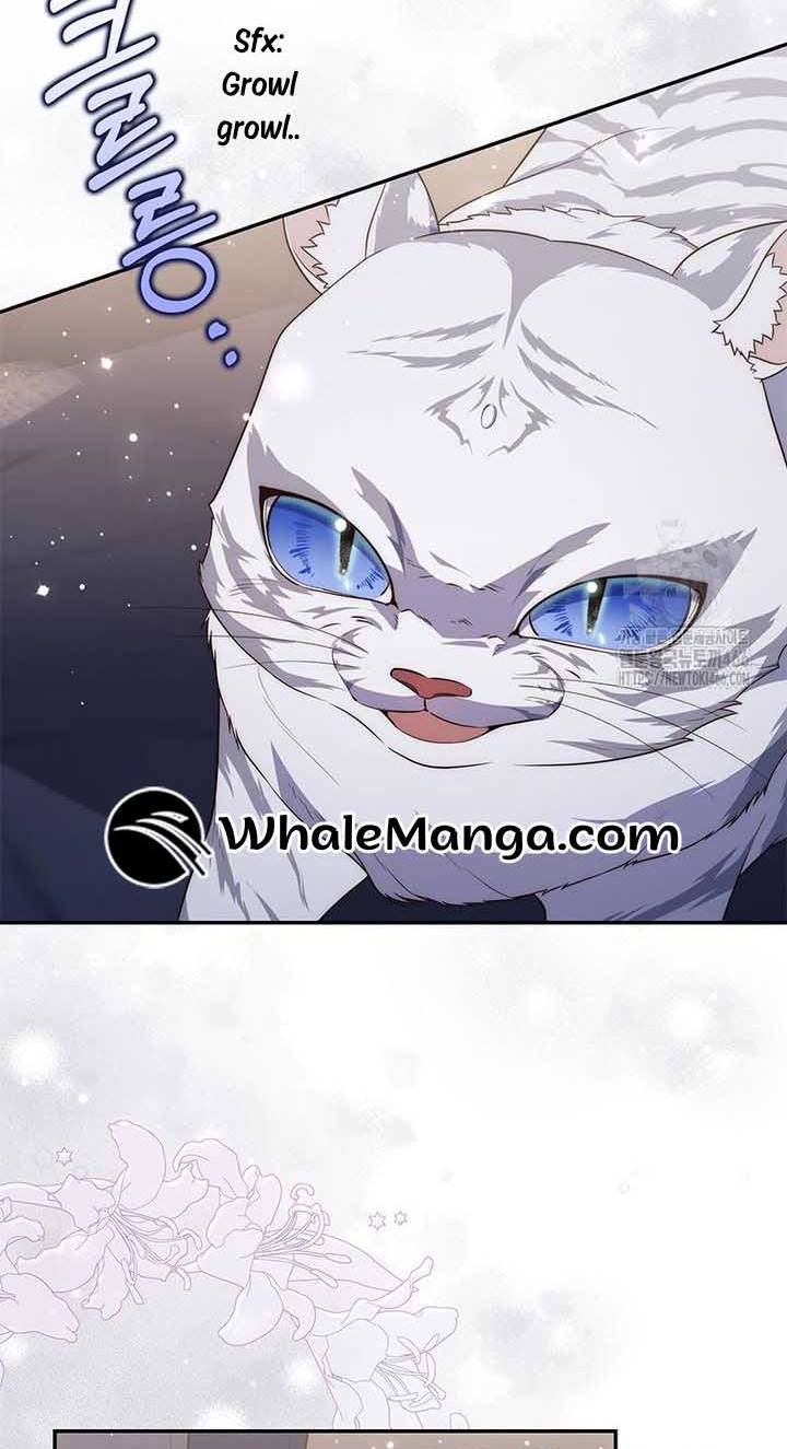 Read A Fortune-Telling Princess EN Manga Online