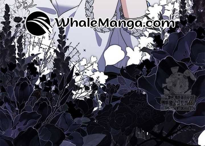 Read A Fortune-Telling Princess EN Manga Online