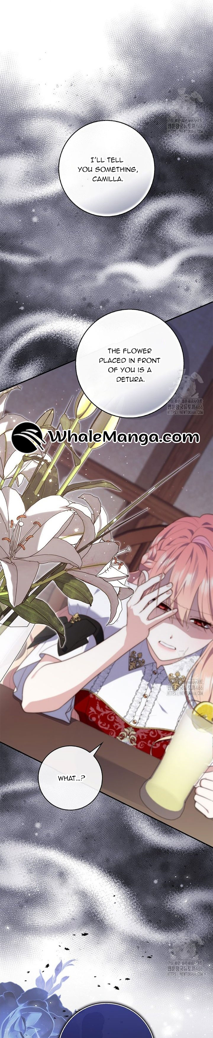Read A Fortune-Telling Princess EN Manga Online