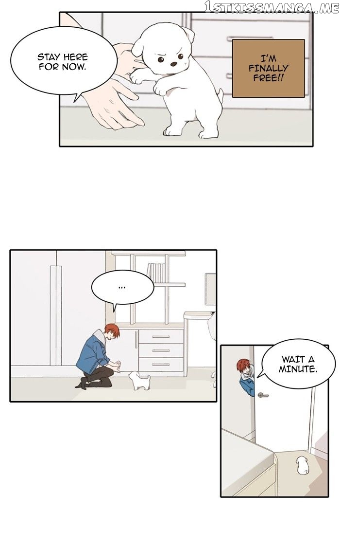 Read A Good Day to Be a Dog EN Manga Online