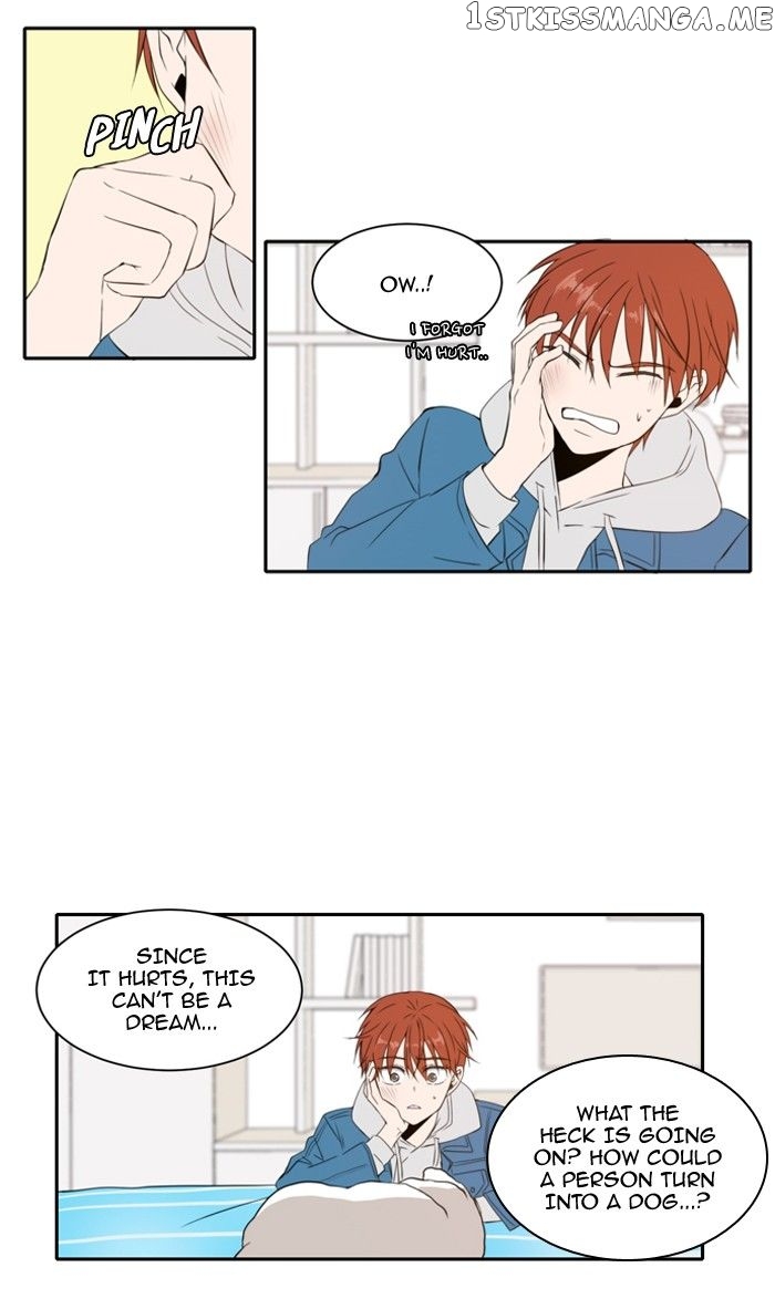 Read A Good Day to Be a Dog EN Manga Online