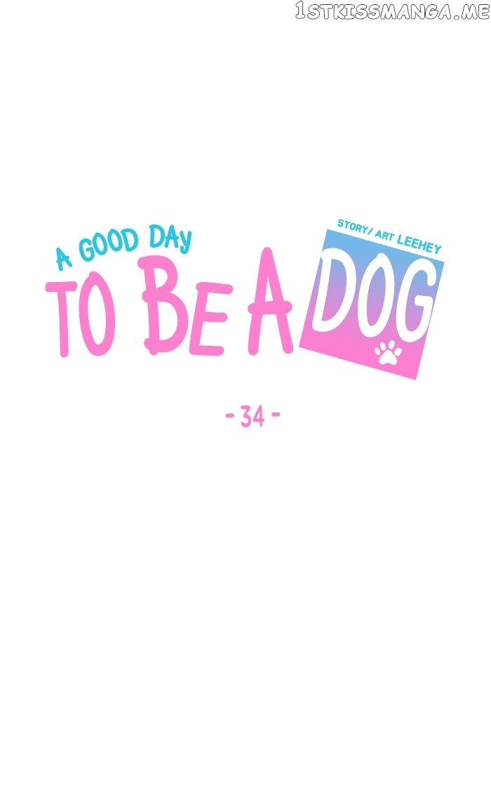 Read A Good Day to Be a Dog EN Manga Online