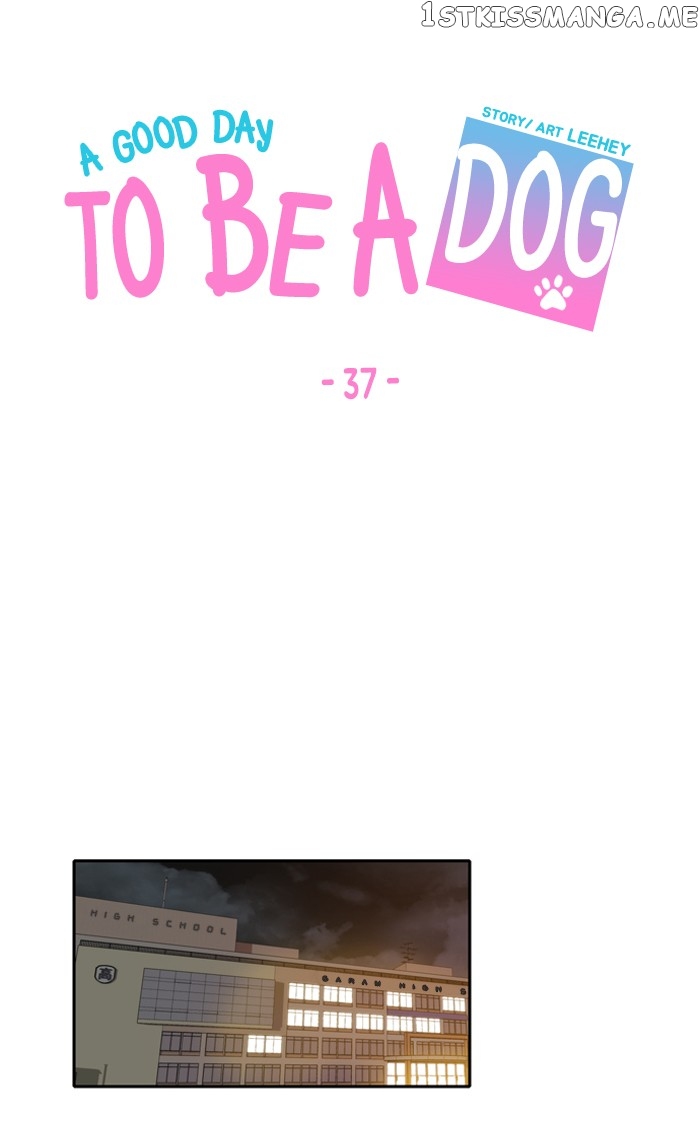 Read A Good Day to Be a Dog EN Manga Online