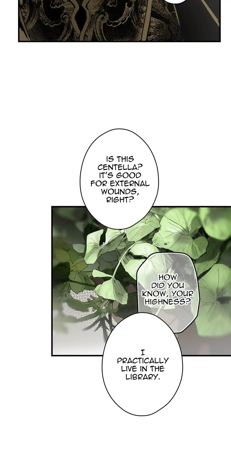 Read A Stepmother_s Märchen EN Manga Online