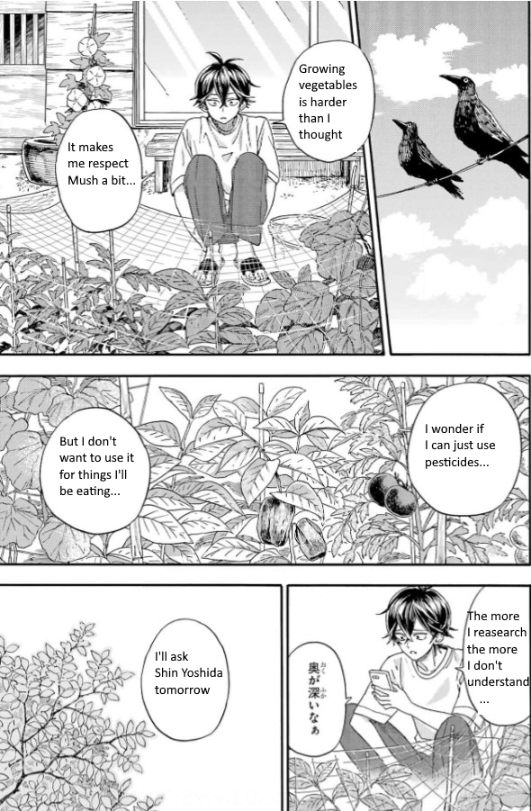 Read Barakamon EN Manga Online
