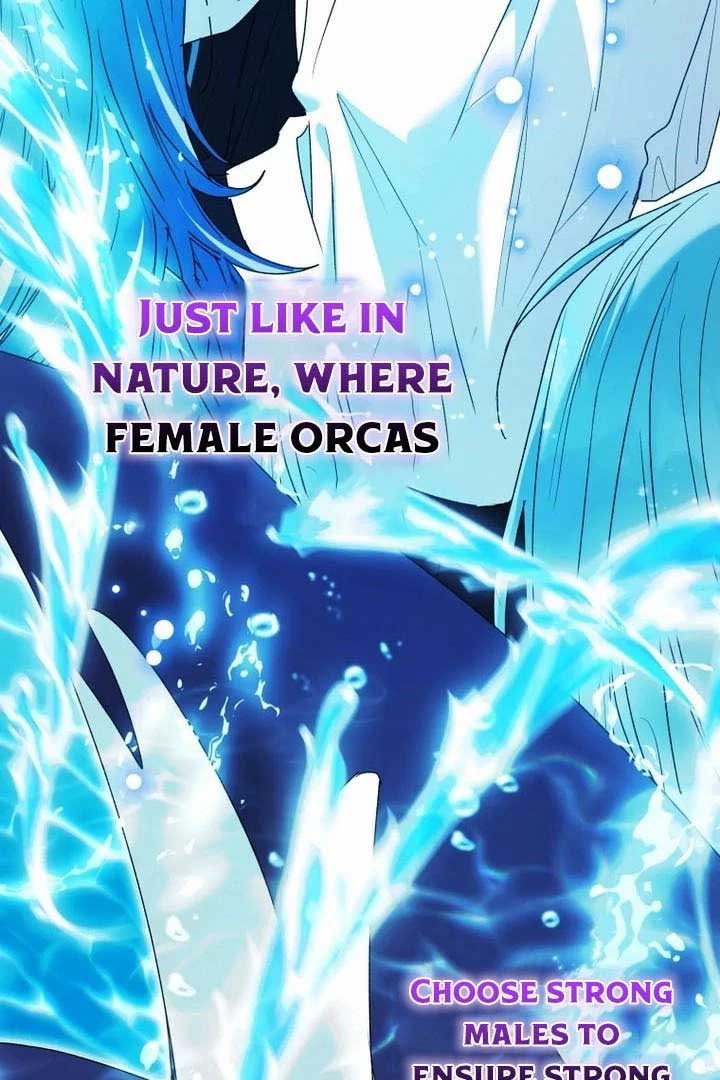 Read Black Killer Whale Baby EN Manga Online