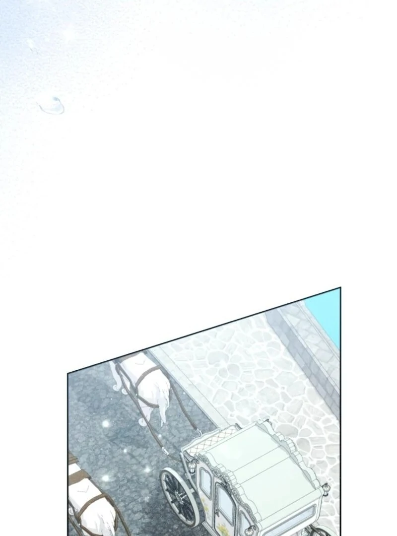 Read Black Killer Whale Baby EN Manga Online