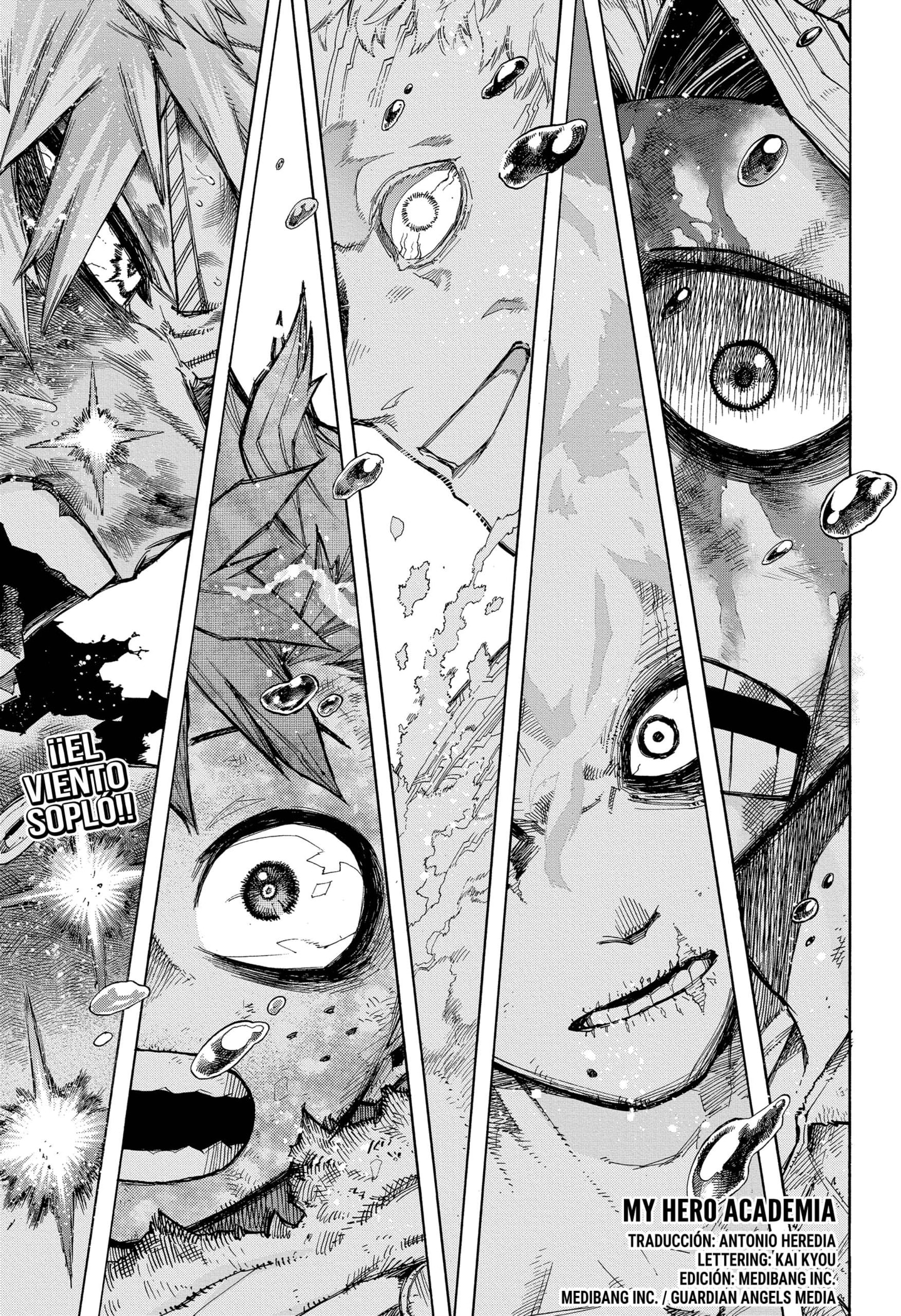 Read Boku no Hero Academia EN Manga Online