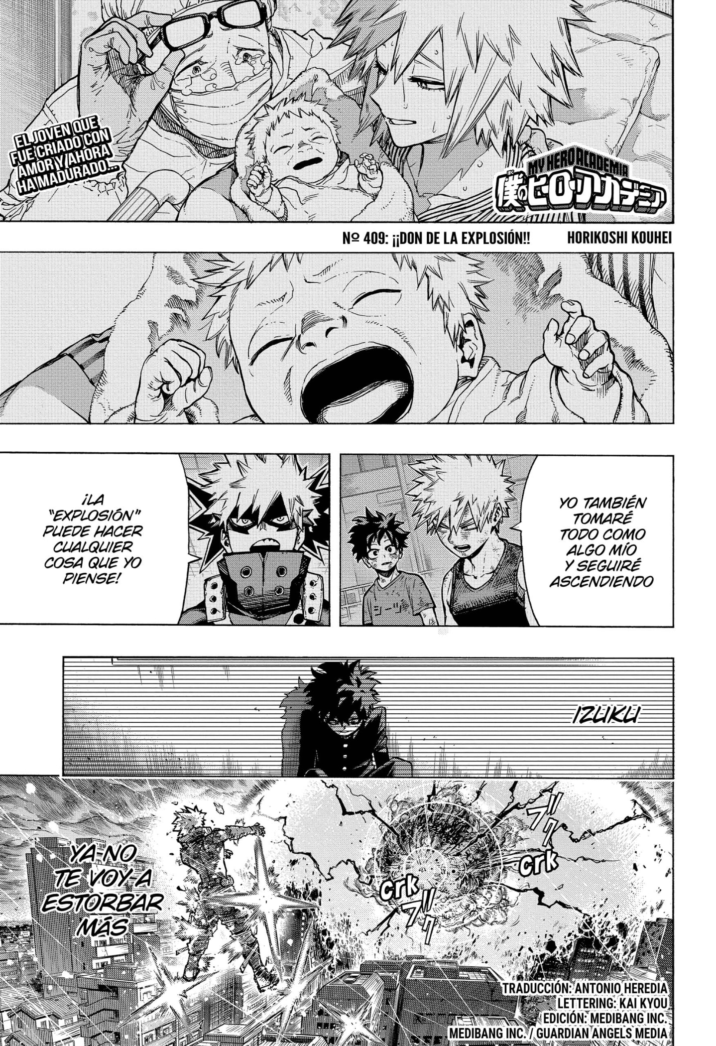 Read Boku no Hero Academia EN Manga Online