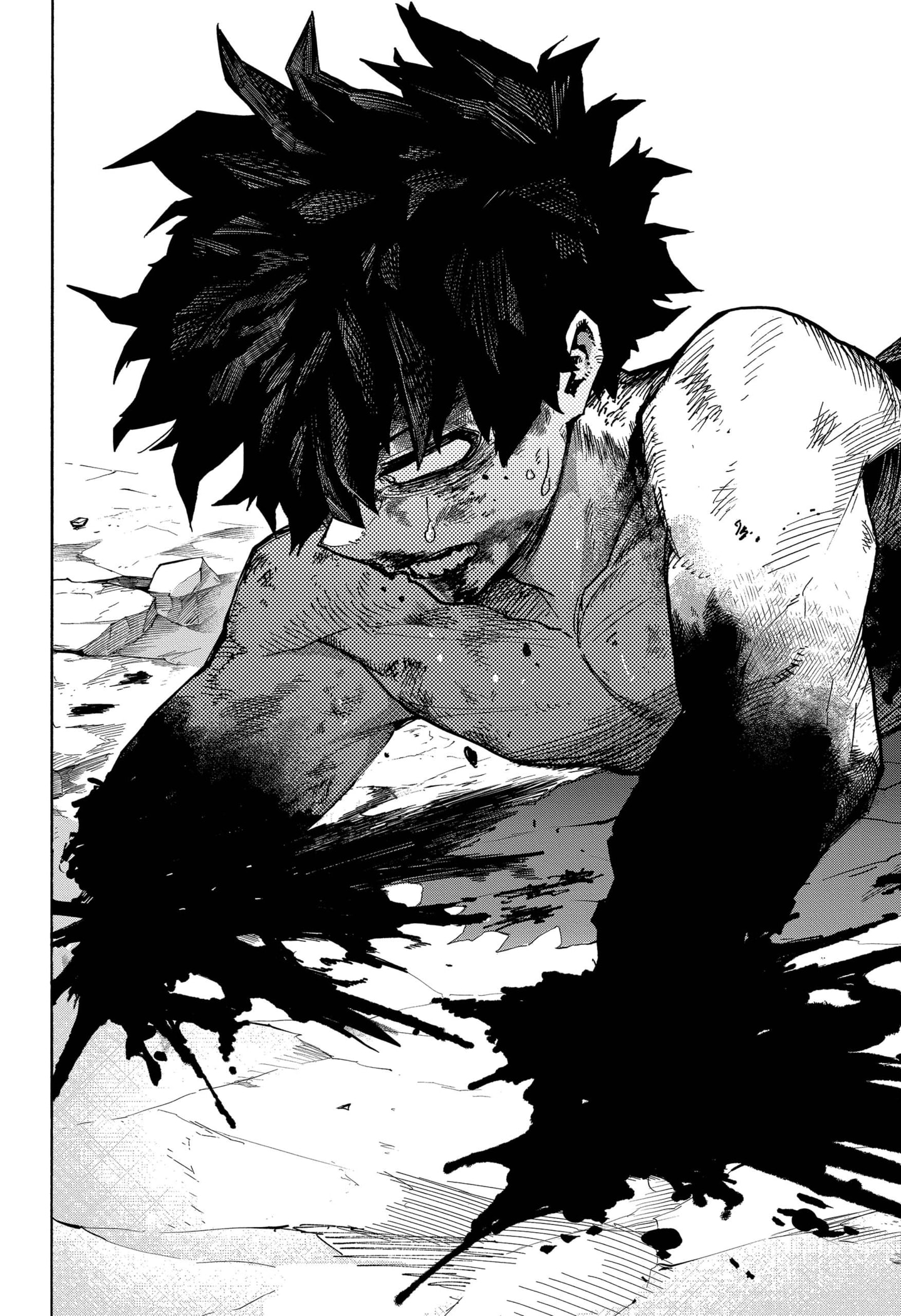 Read Boku no Hero Academia EN Manga Online