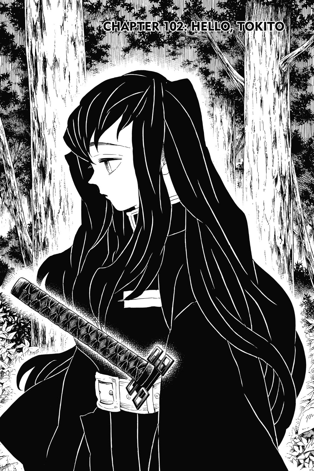 Read Demon Slayer_ Kimetsu no Yaiba EN Manga Online