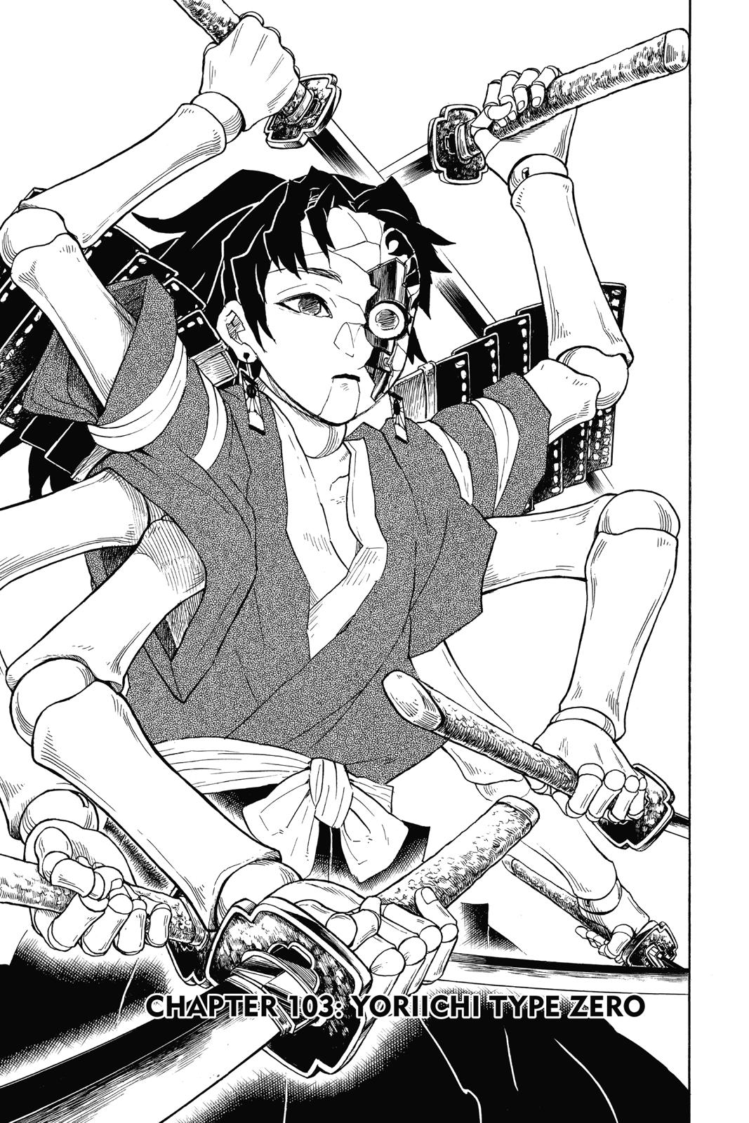 Read Demon Slayer_ Kimetsu no Yaiba EN Manga Online