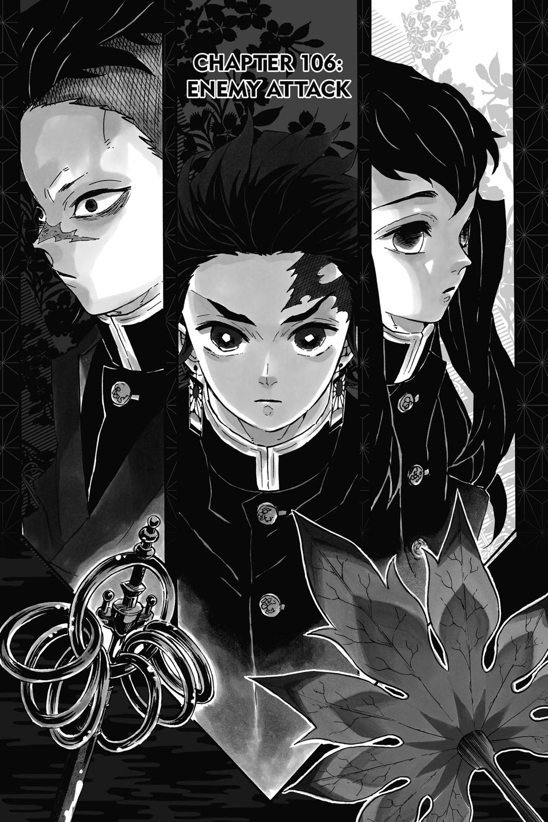 Read Demon Slayer_ Kimetsu no Yaiba EN Manga Online