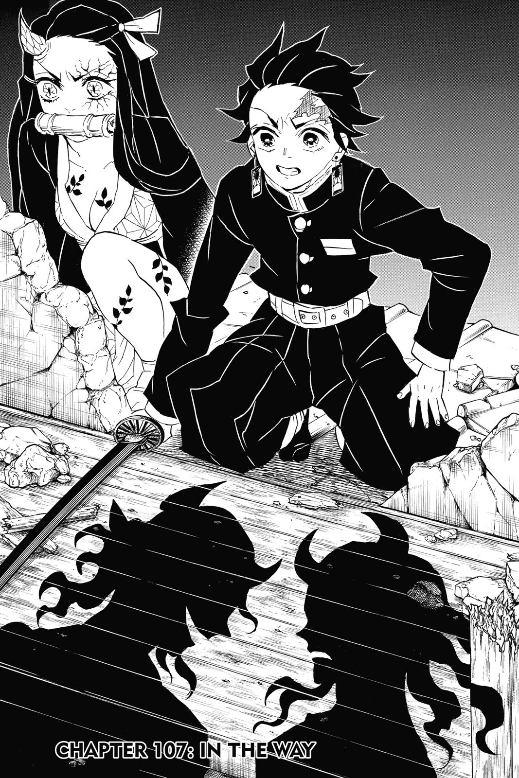 Read Demon Slayer_ Kimetsu no Yaiba EN Manga Online