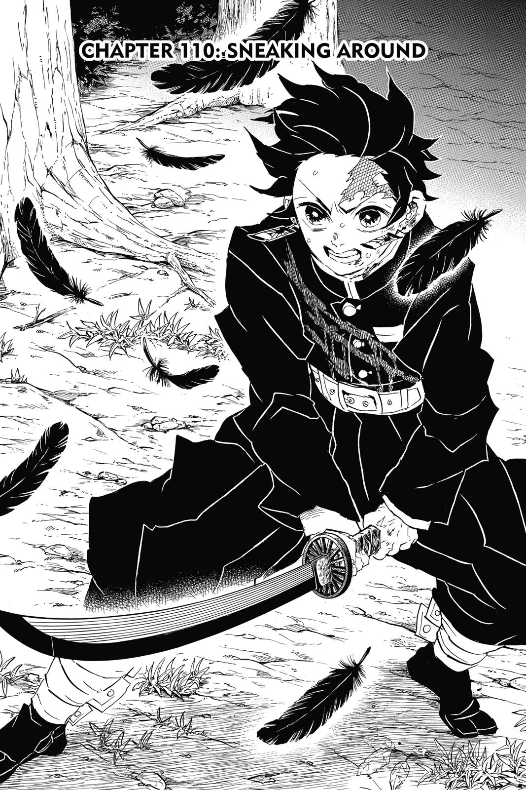 Read Demon Slayer_ Kimetsu no Yaiba EN Manga Online