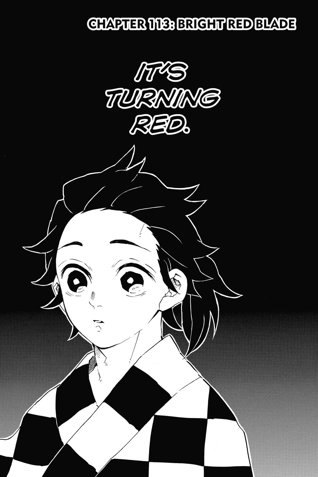 Read Demon Slayer_ Kimetsu no Yaiba EN Manga Online