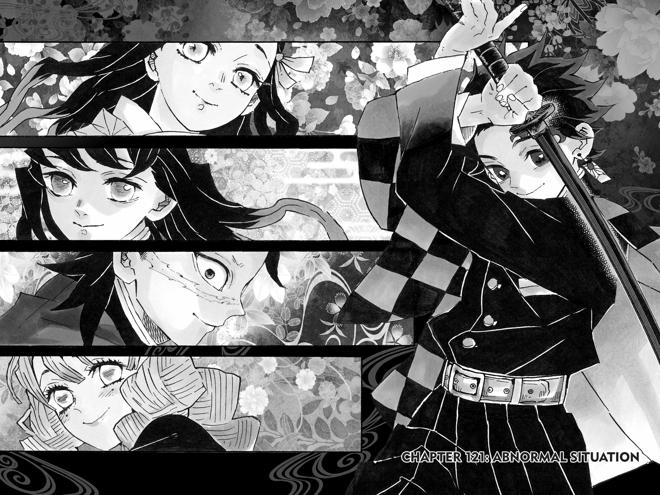 Read Demon Slayer_ Kimetsu no Yaiba EN Manga Online