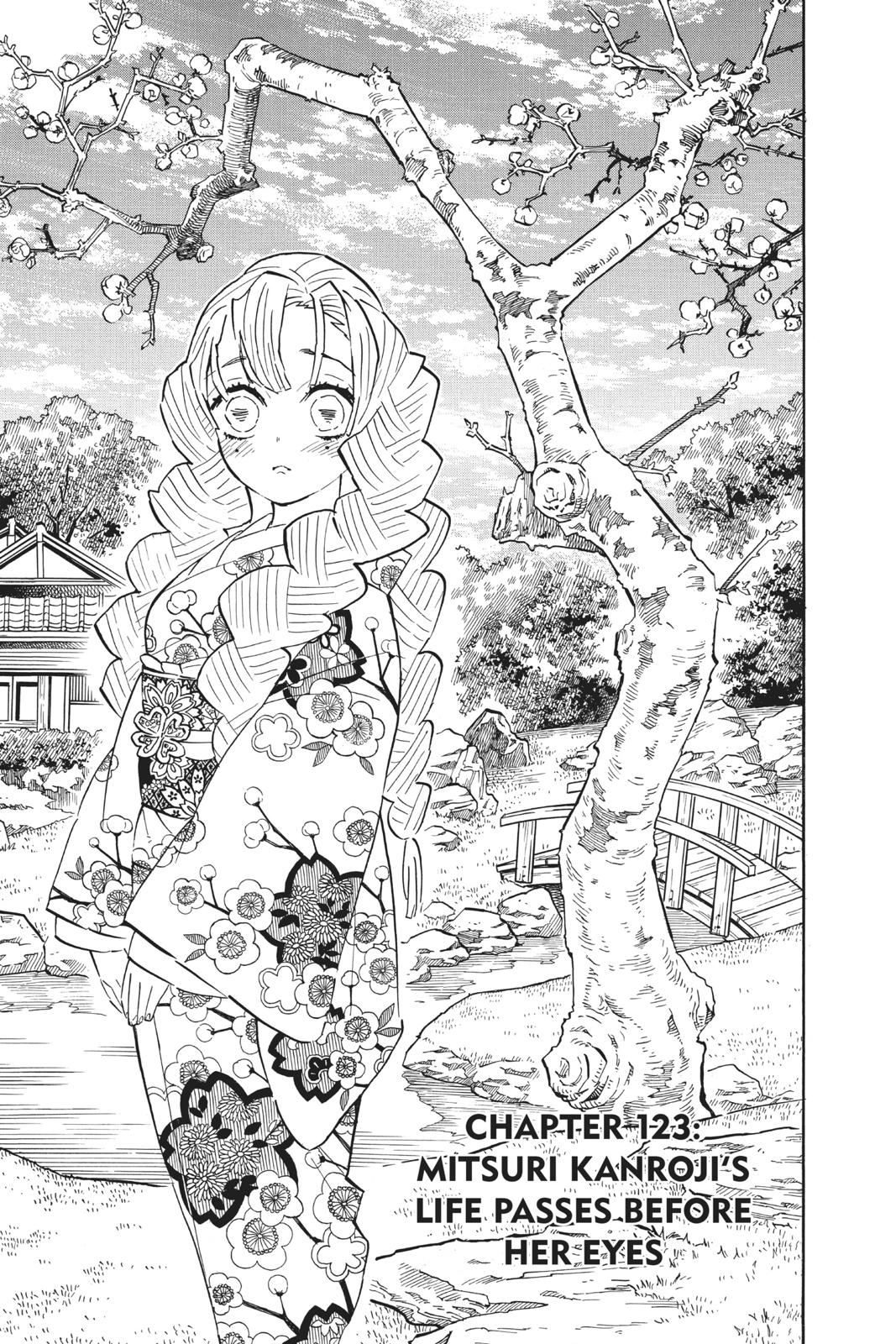Read Demon Slayer_ Kimetsu no Yaiba EN Manga Online