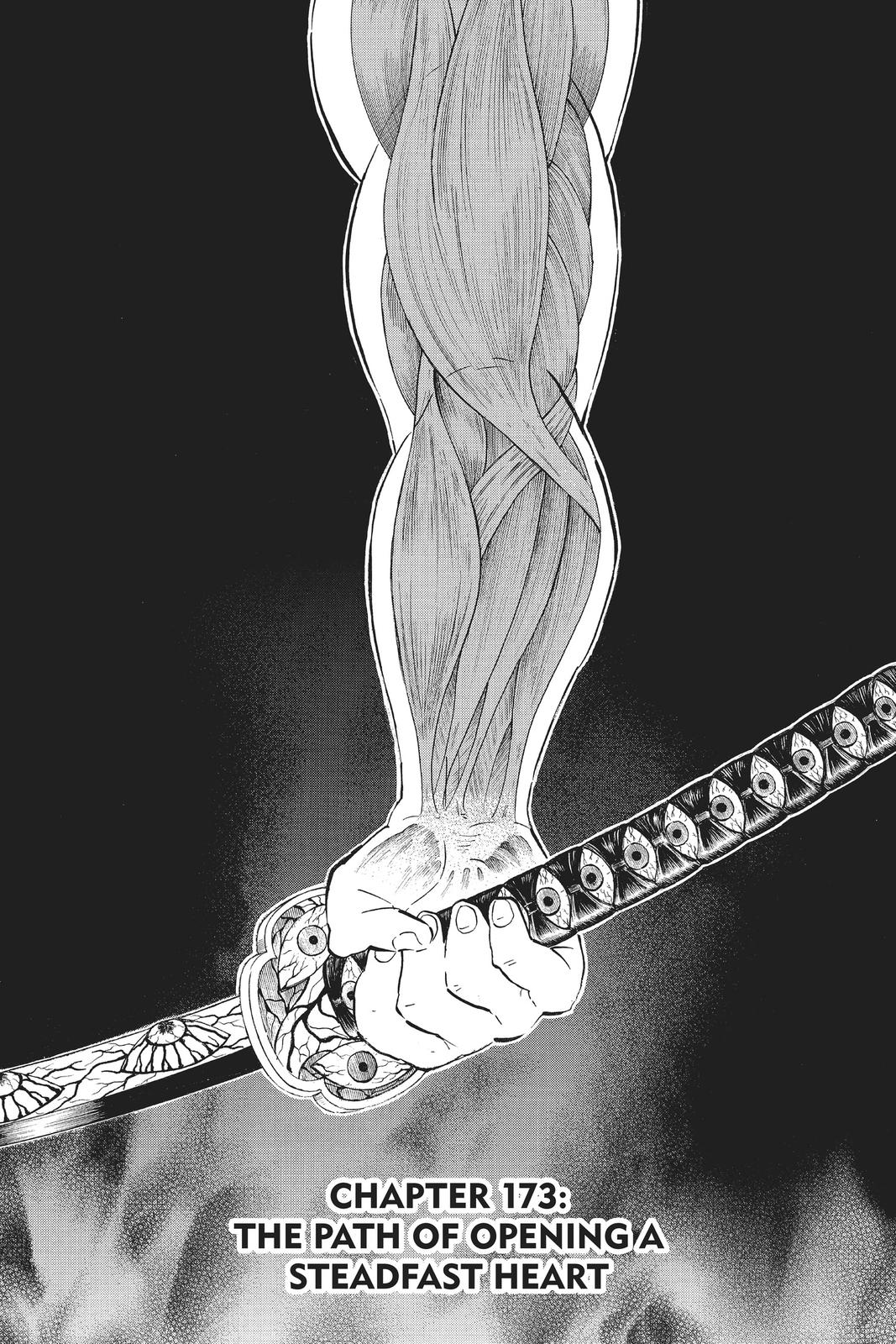 Read Demon Slayer_ Kimetsu no Yaiba EN Manga Online