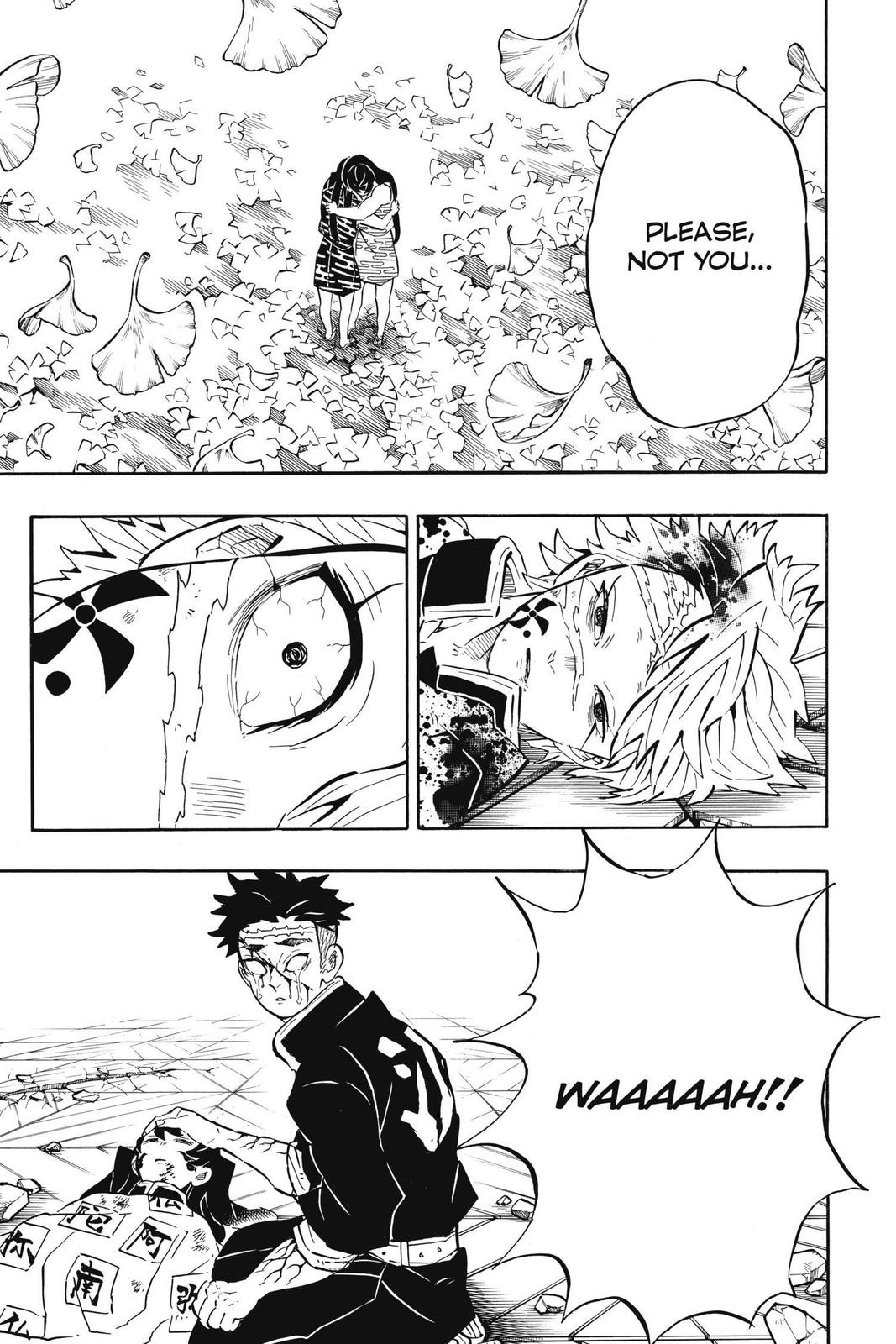 Read Demon Slayer_ Kimetsu no Yaiba EN Manga Online