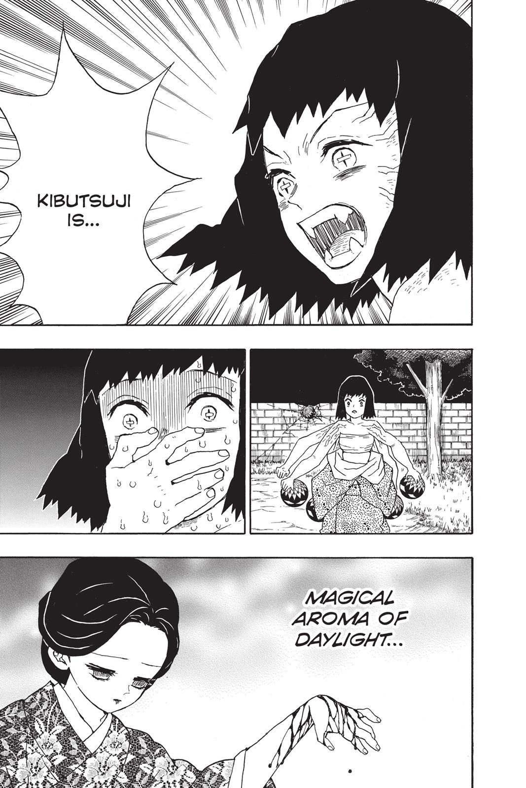Read Demon Slayer_ Kimetsu no Yaiba EN Manga Online