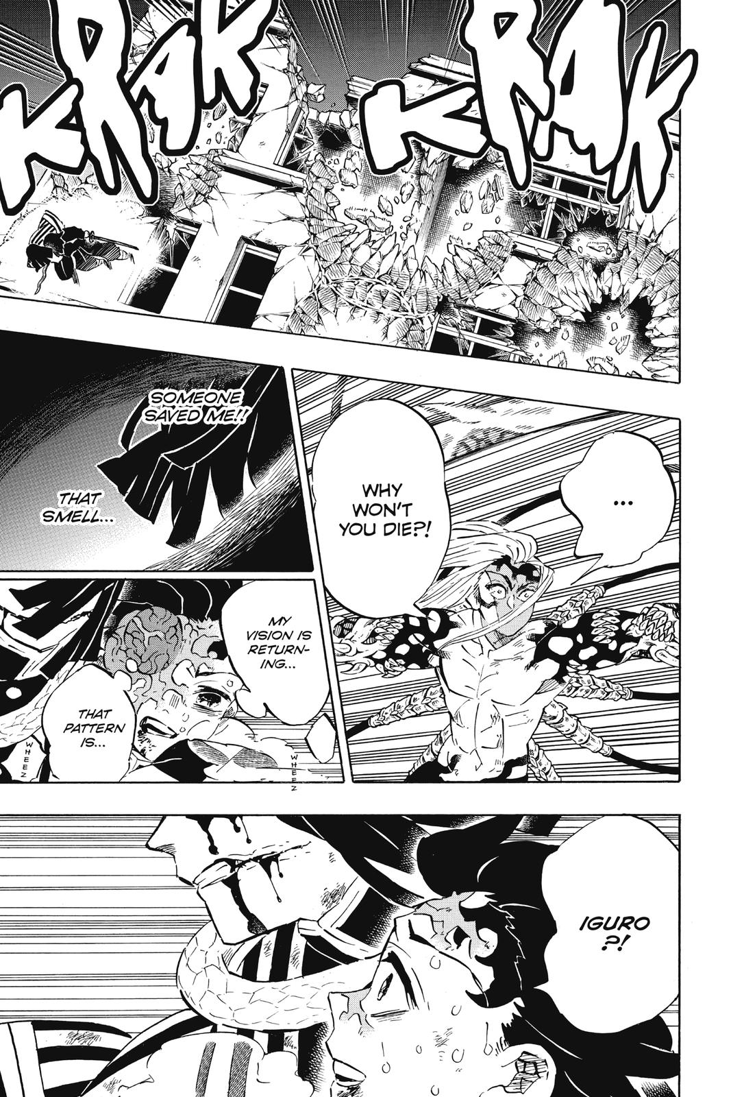 Read Demon Slayer_ Kimetsu no Yaiba EN Manga Online
