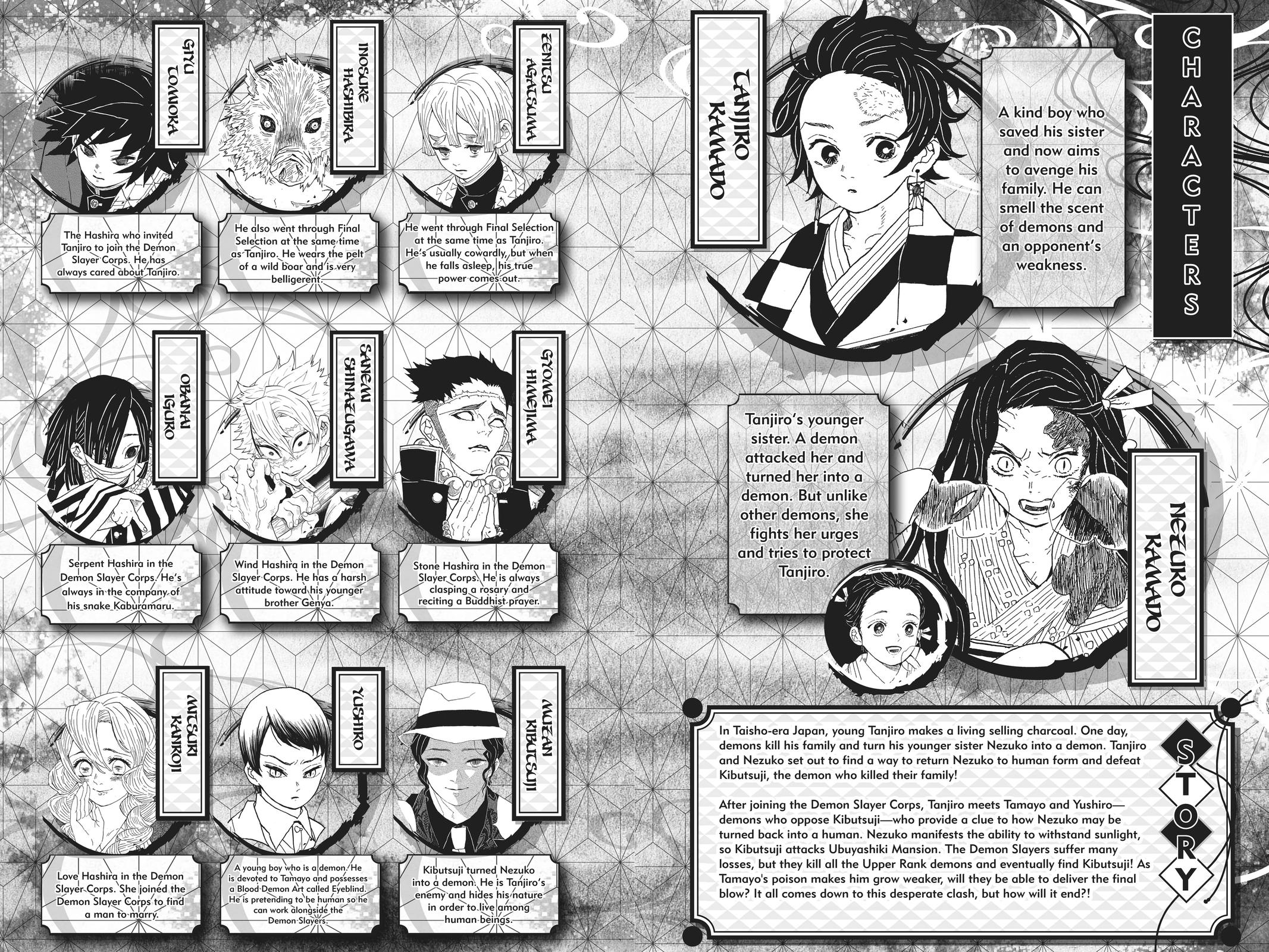 Read Demon Slayer_ Kimetsu no Yaiba EN Manga Online