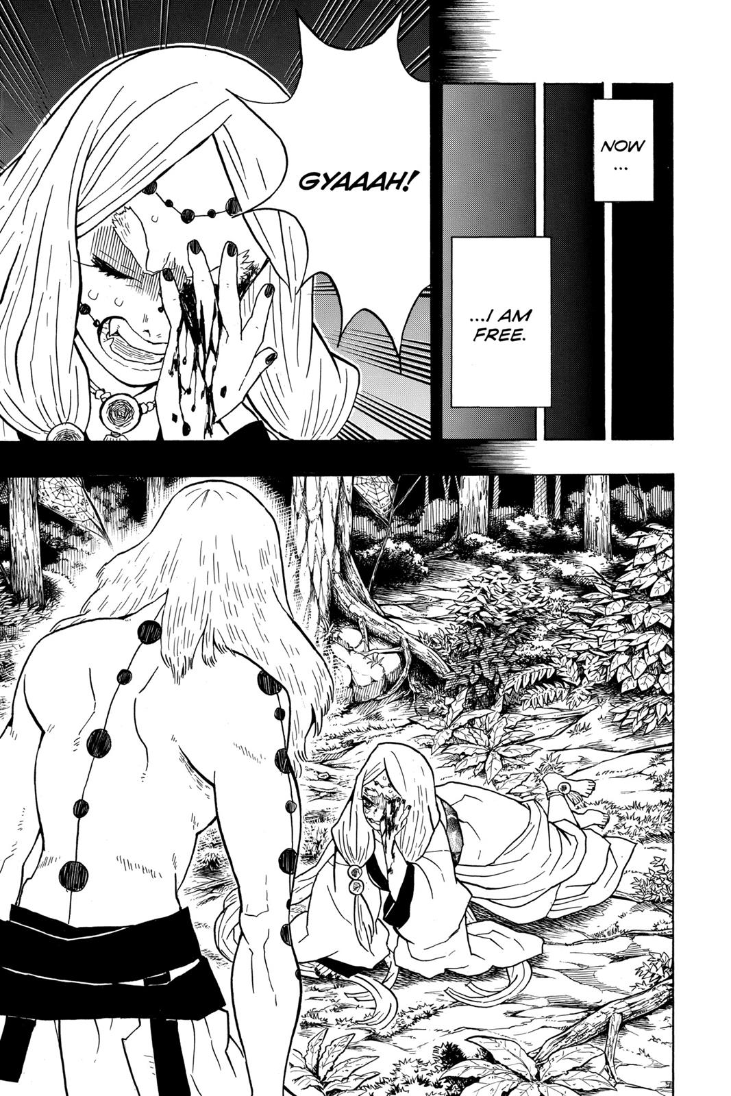 Read Demon Slayer_ Kimetsu no Yaiba EN Manga Online
