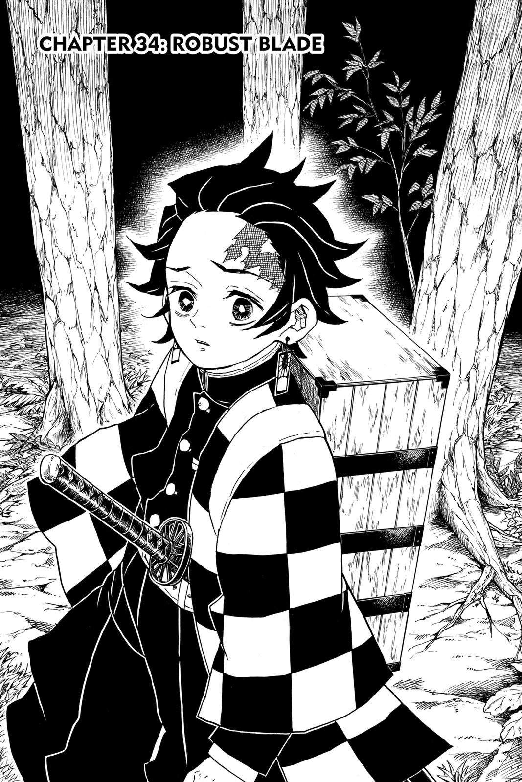 Read Demon Slayer_ Kimetsu no Yaiba EN Manga Online