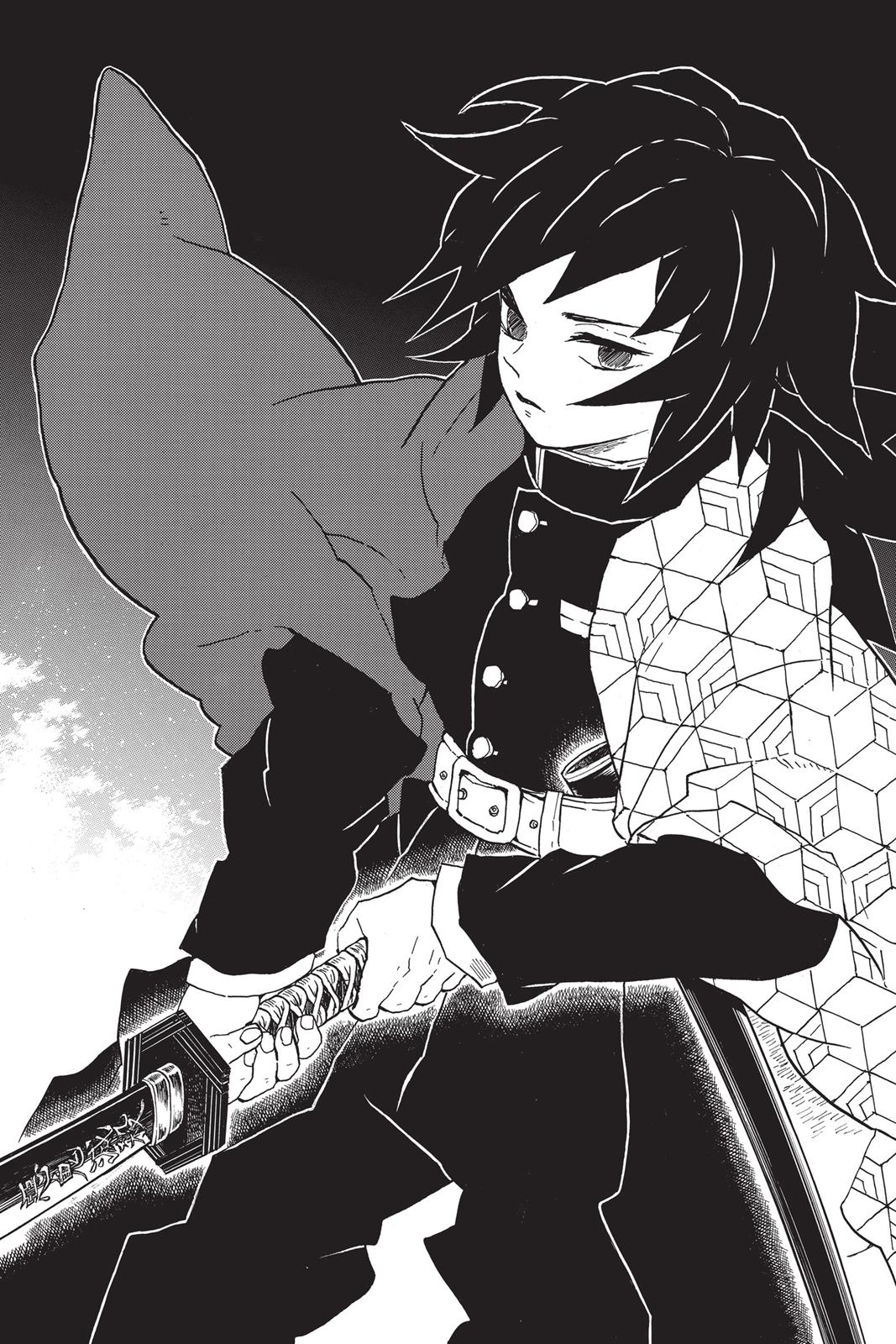 Read Demon Slayer_ Kimetsu no Yaiba EN Manga Online