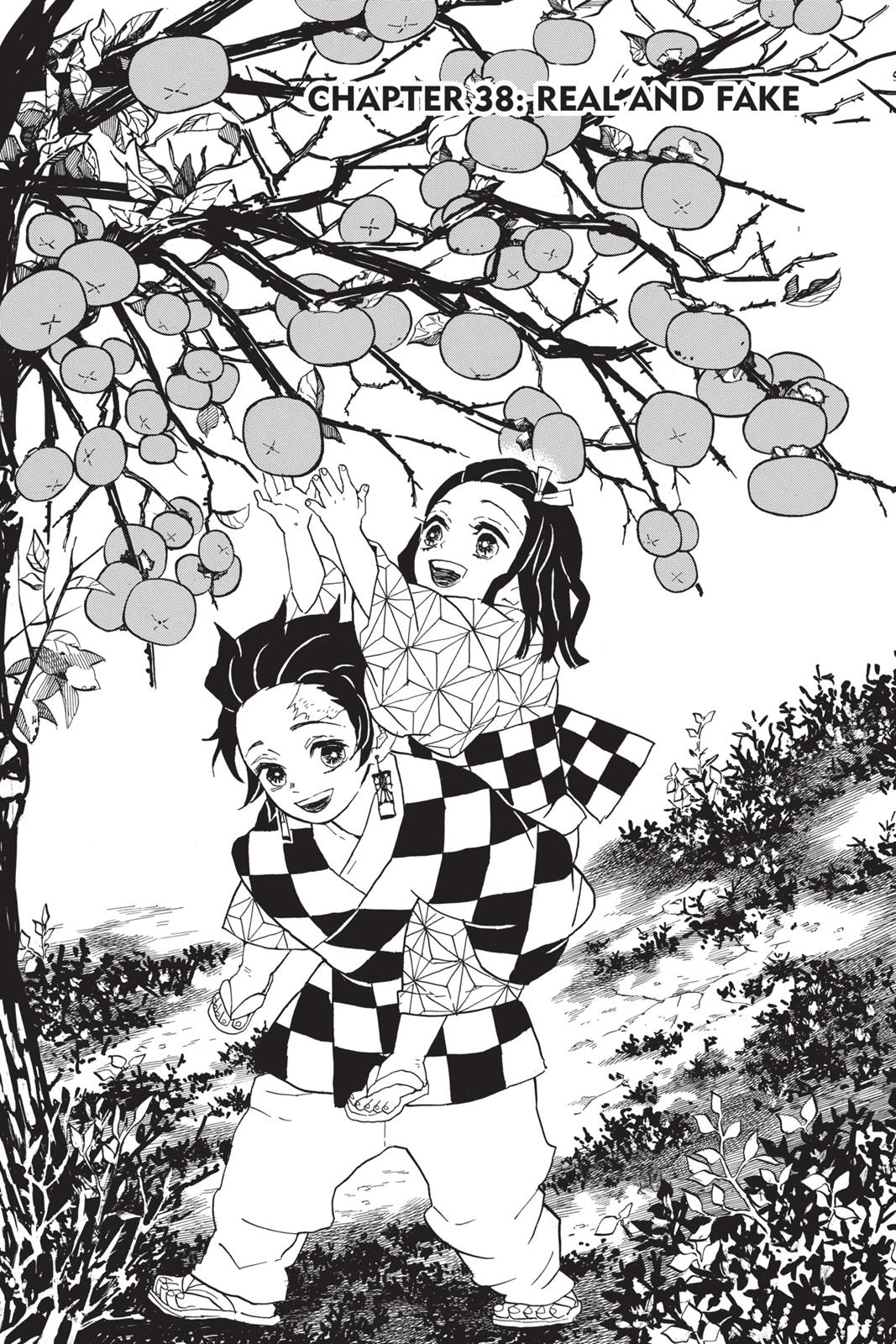Read Demon Slayer_ Kimetsu no Yaiba EN Manga Online