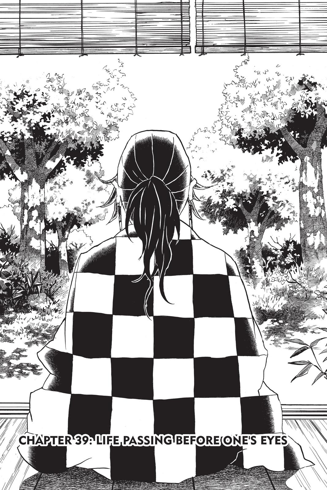 Read Demon Slayer_ Kimetsu no Yaiba EN Manga Online