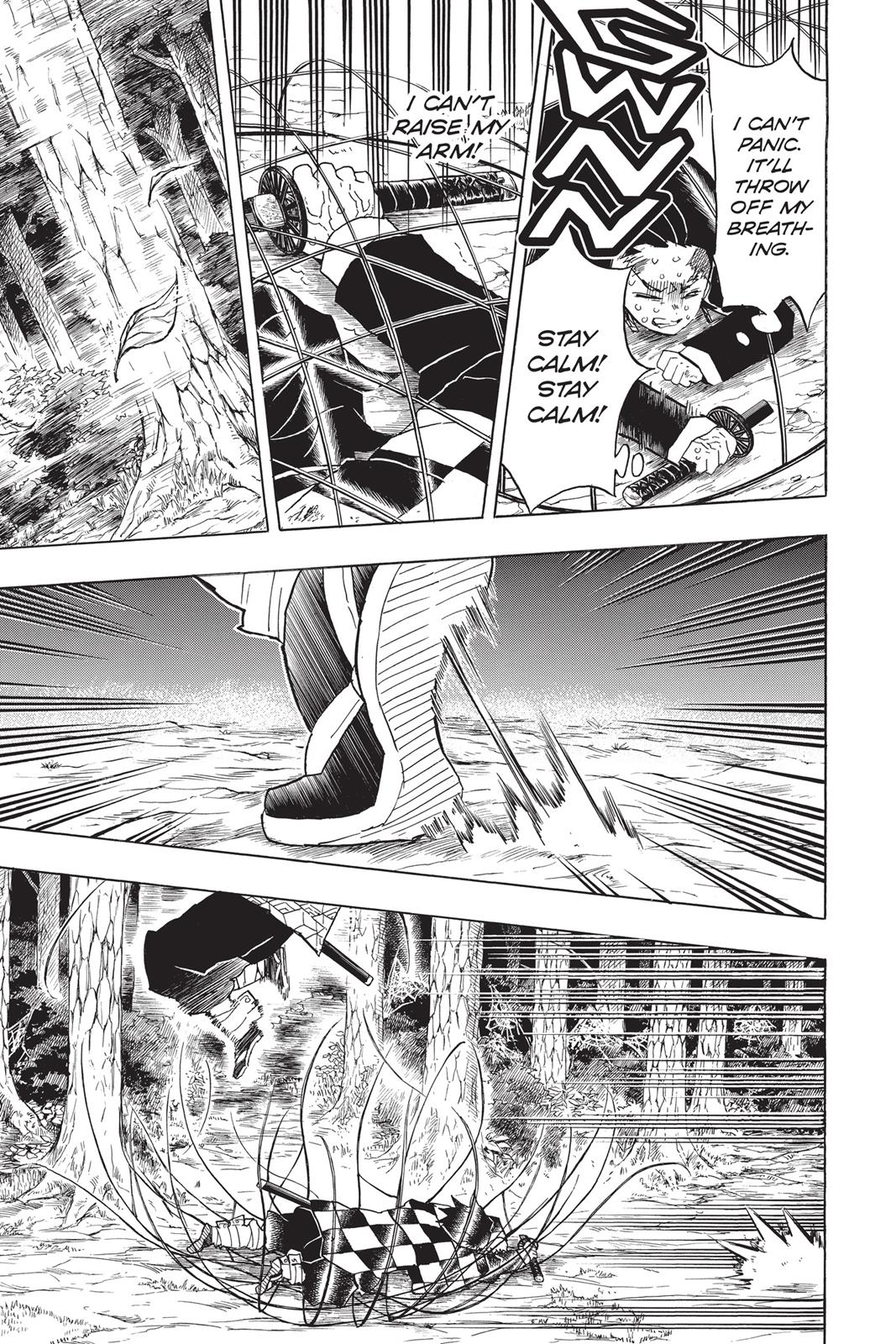 Read Demon Slayer_ Kimetsu no Yaiba EN Manga Online