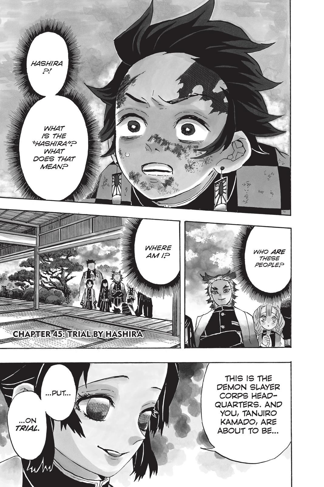 Read Demon Slayer_ Kimetsu no Yaiba EN Manga Online
