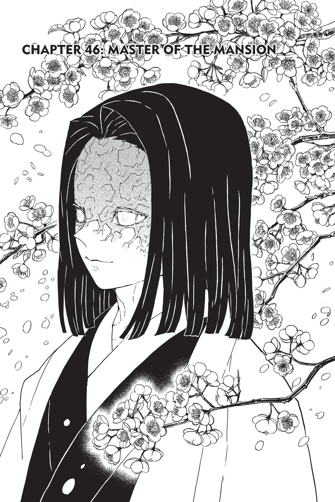 Read Demon Slayer_ Kimetsu no Yaiba EN Manga Online