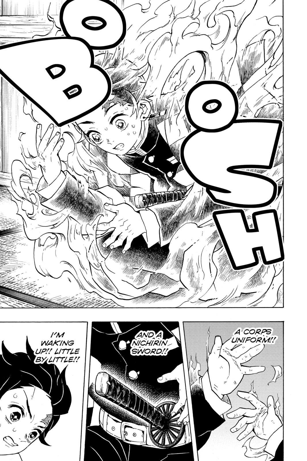 Read Demon Slayer_ Kimetsu no Yaiba EN Manga Online