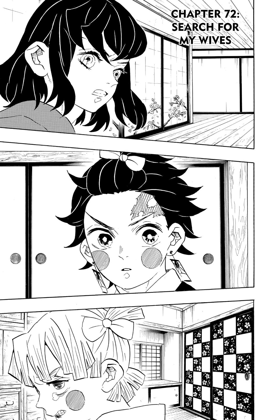Read Demon Slayer_ Kimetsu no Yaiba EN Manga Online