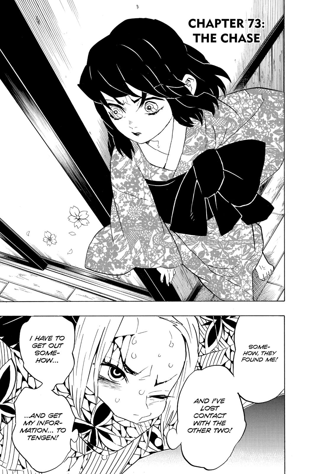 Read Demon Slayer_ Kimetsu no Yaiba EN Manga Online