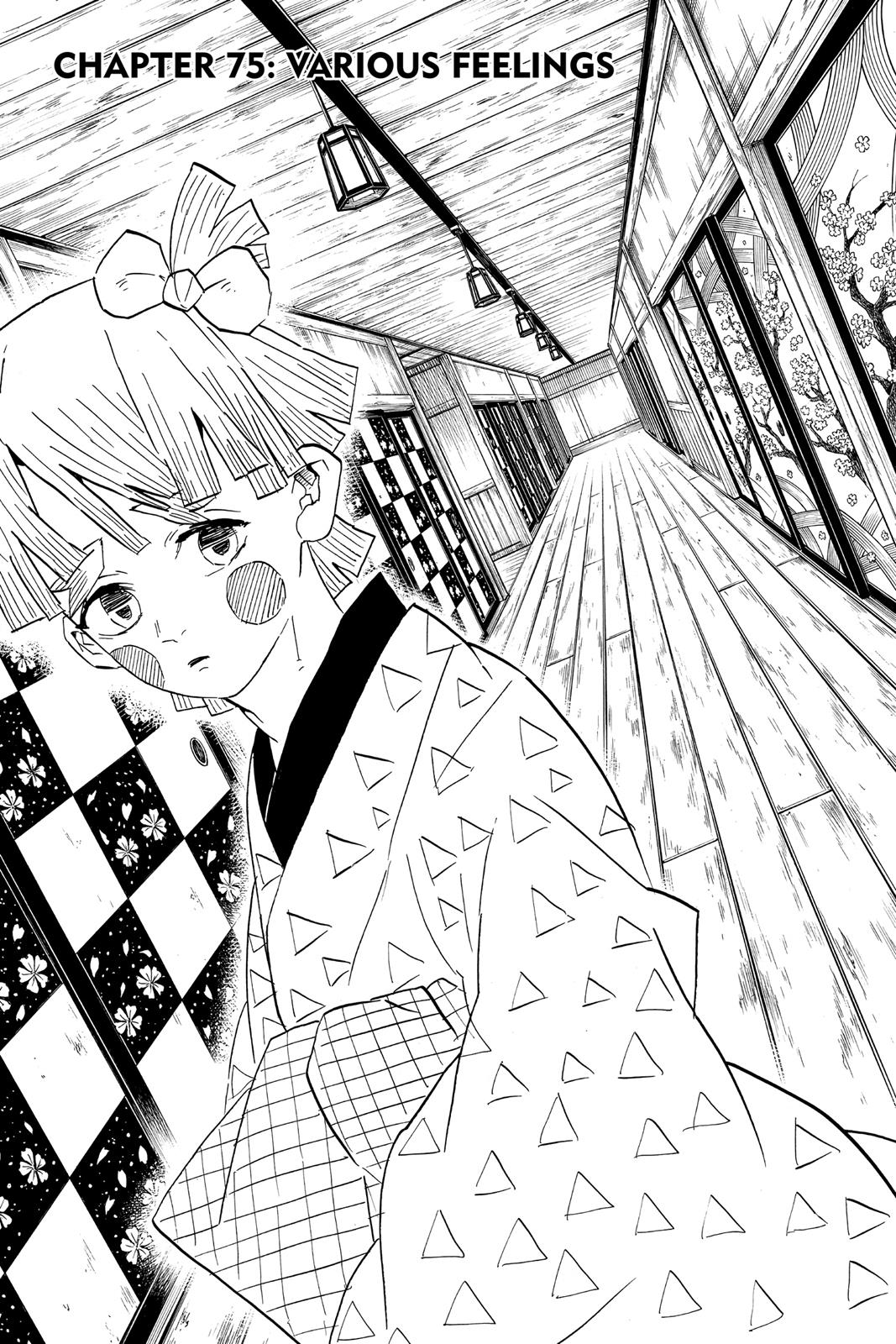 Read Demon Slayer_ Kimetsu no Yaiba EN Manga Online