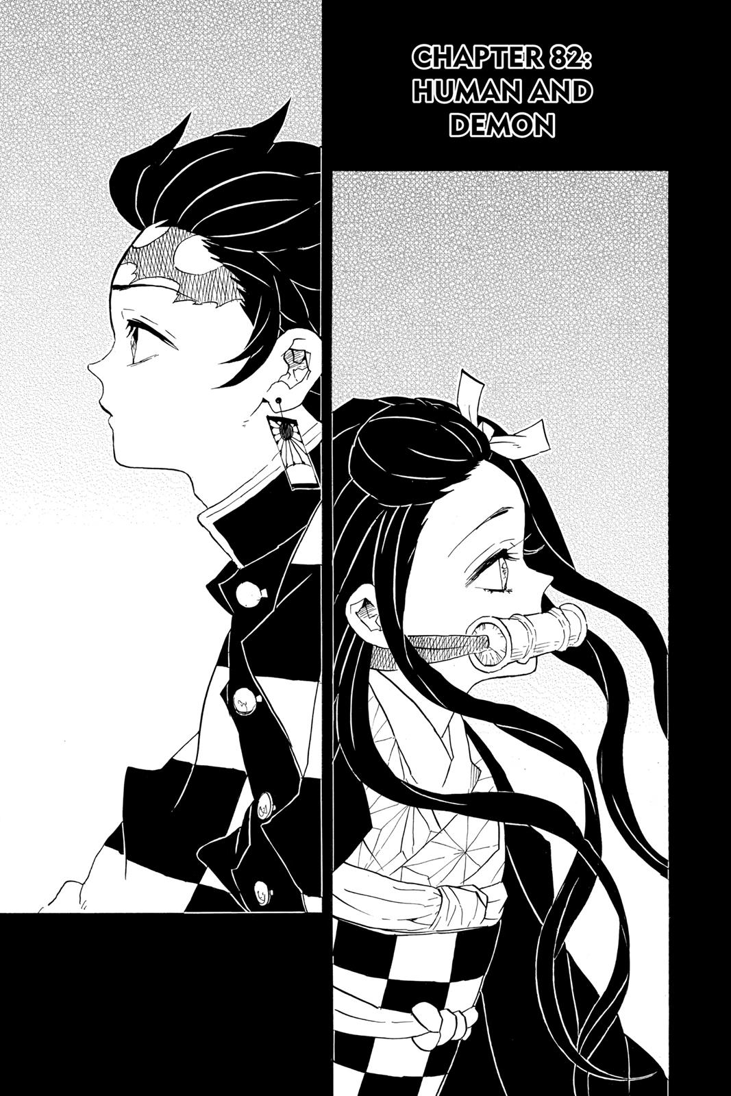 Read Demon Slayer_ Kimetsu no Yaiba EN Manga Online