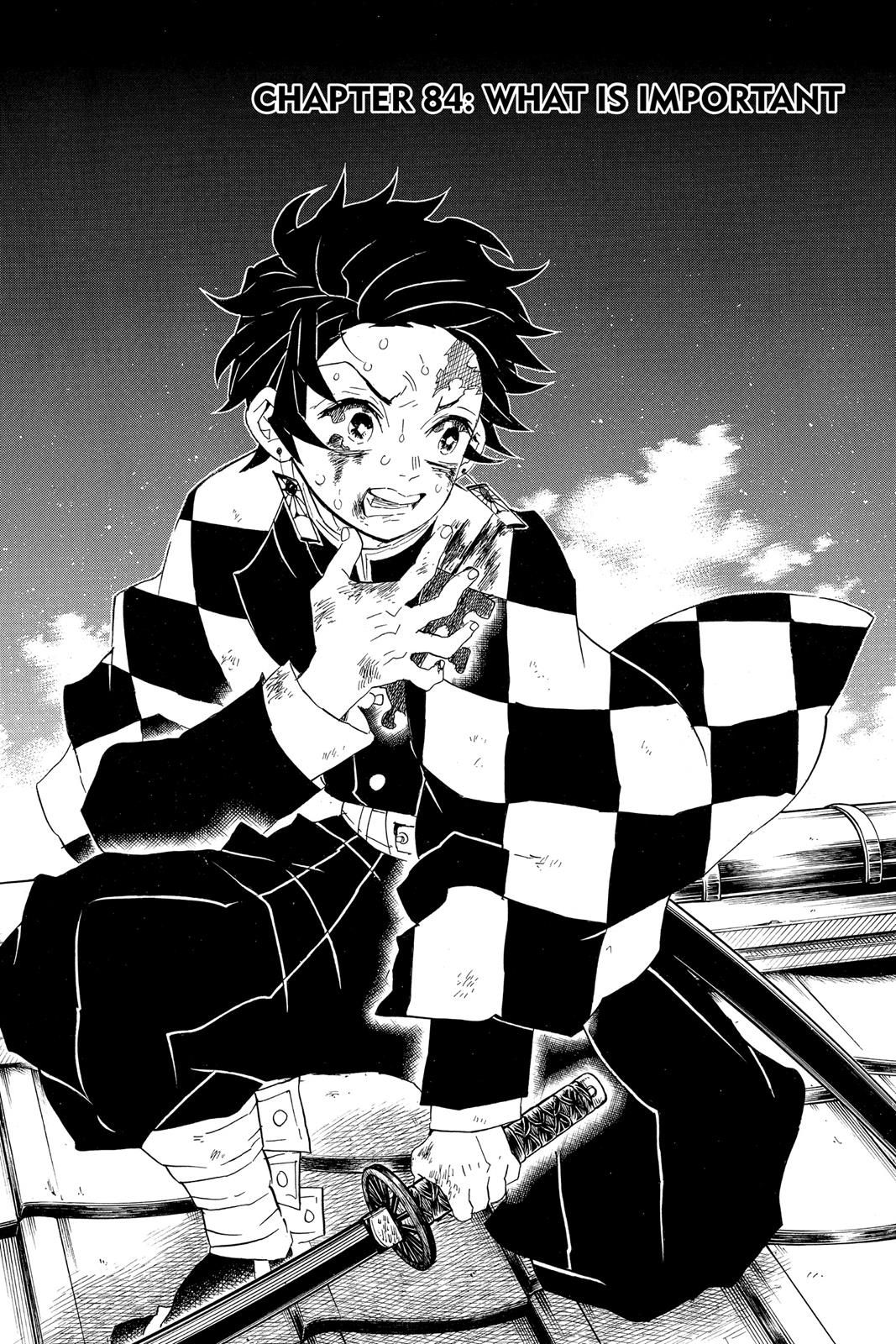 Read Demon Slayer_ Kimetsu no Yaiba EN Manga Online