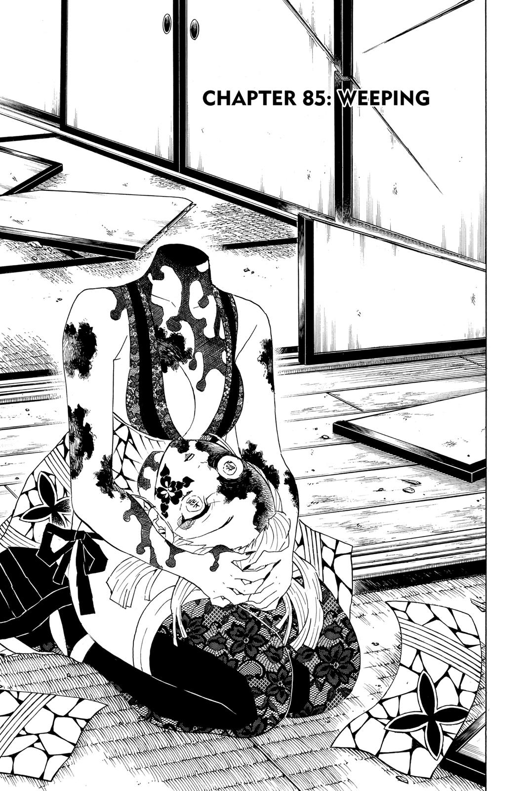 Read Demon Slayer_ Kimetsu no Yaiba EN Manga Online