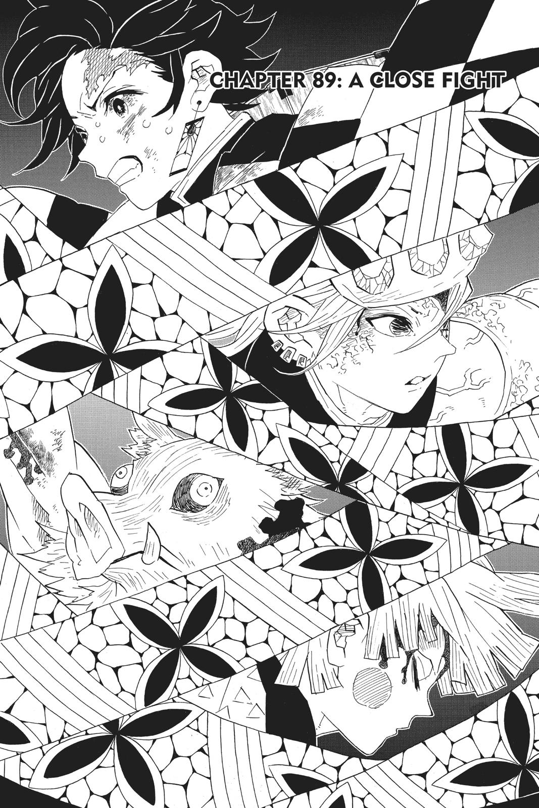Read Demon Slayer_ Kimetsu no Yaiba EN Manga Online