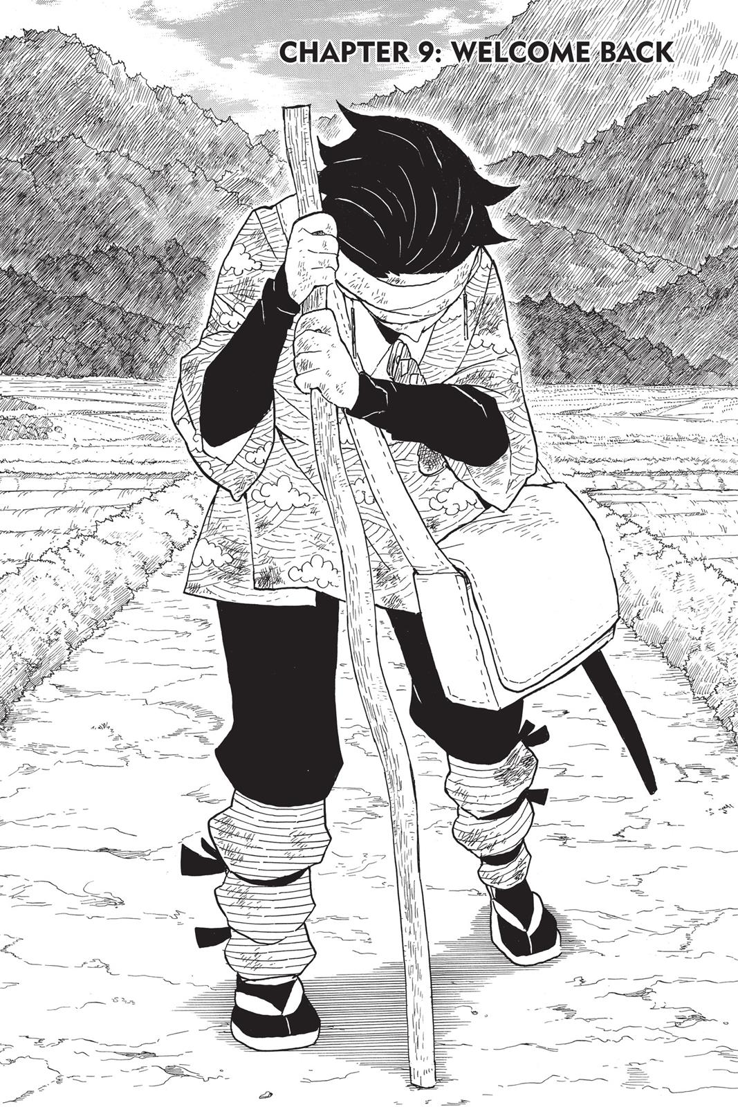 Read Demon Slayer_ Kimetsu no Yaiba EN Manga Online