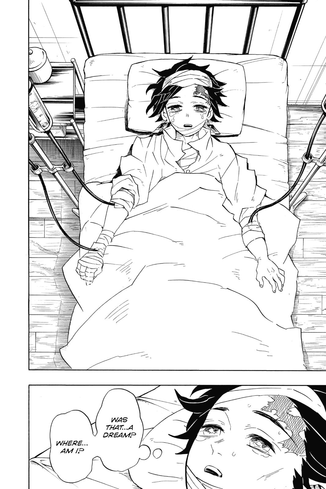 Read Demon Slayer_ Kimetsu no Yaiba EN Manga Online
