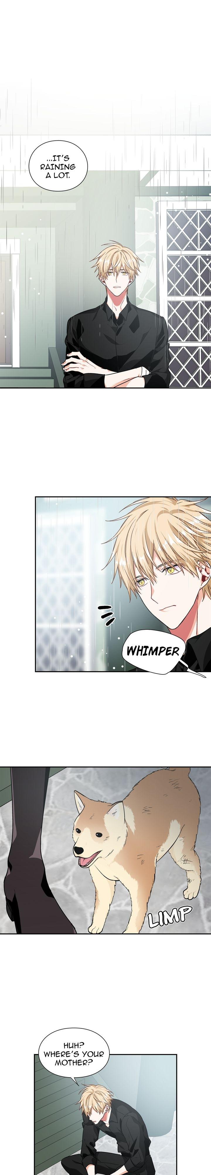 Read Doctor Elise EN Manga Online